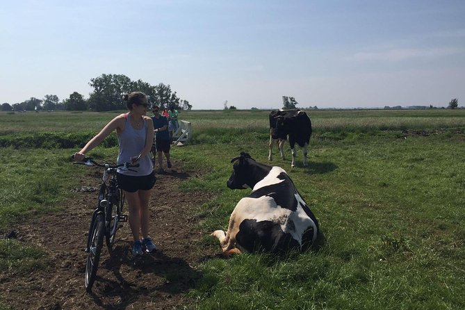 Amsterdam's Countryside Half-Day Bike Tour in Small Group - Why Waterland Feels Like a Different Amsterdam