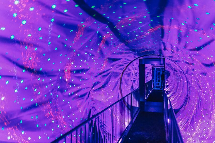 Amsterdam's Weirdest Museum: Believe It or Not! - Key Takeaways Before You Go