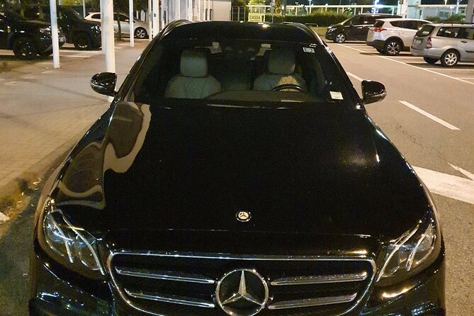 Amsterdam Schiphol Airport (AMS) to Amsterdam - Arrival Private Transfer - Who Should Book This Private Arrival Transfer?
