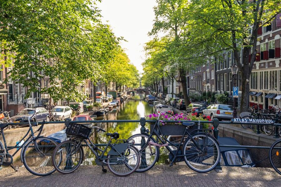 Amsterdam Small-Group Walking Tour - A 2.5-hour walk that gives you Amsterdam bearings fast