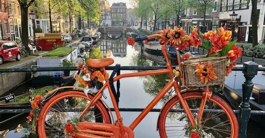 Amsterdam: Small Group Walking Tour with Fun Guide - David’s style: laughs, context, and fewer dry facts