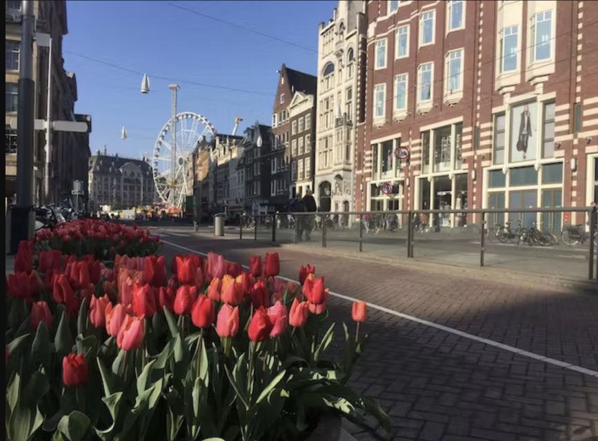 Amsterdam: The Story of History & Culture Walking Tour - Why the tour sometimes wanders east, sometimes west