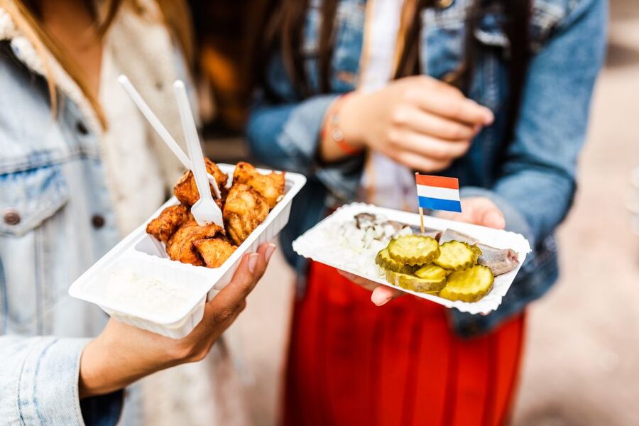 Amsterdam to Haarlem: Private Day-Trip Experience - Who This Tour Suits Best in Haarlem
