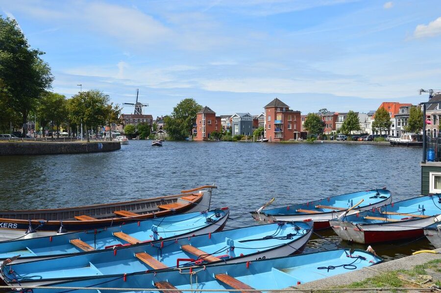 Amsterdam to Haarlem: Private Day-Trip Experience - Grote Kerk, the Gilded Organ, and Medieval Art in One Stop
