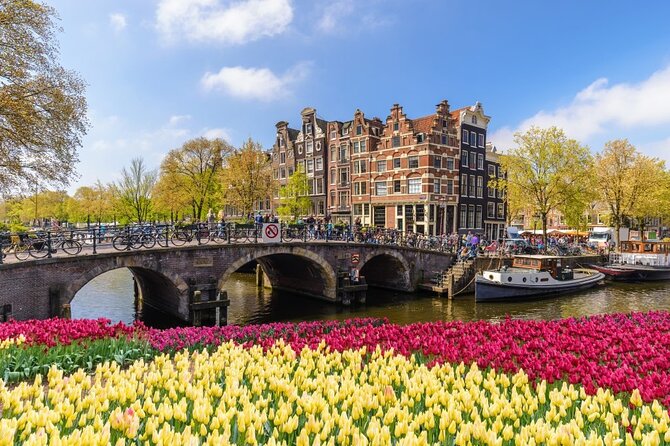 Amsterdam to Schiphol Airport Private Transfer - Extras that can turn a transfer into a win