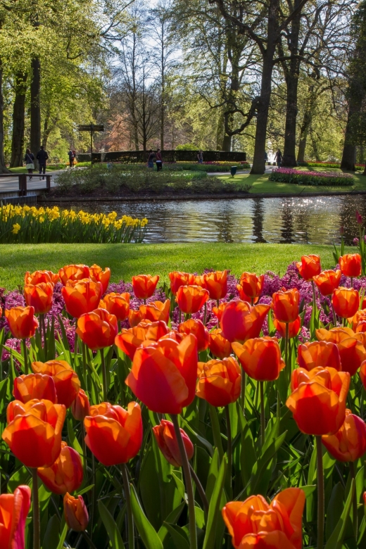 Amsterdam: Tour to Keukenhof Gardens with Windmill Cruise - Key things I’d watch for before you go