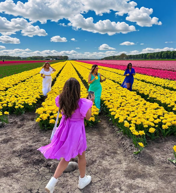 Amsterdam: Tulip Fields Day Tour with Lunch & Windmill - Start at Market 27, then out to North Holland