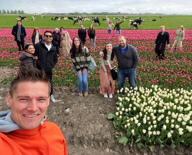 Amsterdam: Tulip Fields Day Tour with Lunch & Windmill - Walking three tulip fields with tulip-industry guides