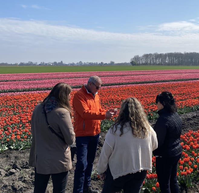 Amsterdam: Tulip Fields Day Tour with Lunch & Windmill - Windmill time: entry included, meet the miller
