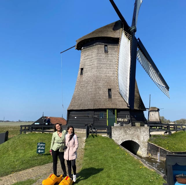 Amsterdam: Tulip Fields Day Tour with Lunch & Windmill - Price and value: what $143 buys you