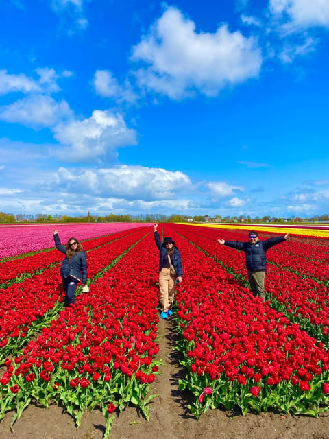 Amsterdam: Tulip Fields Day Tour with Lunch & Windmill - Who this tour suits best