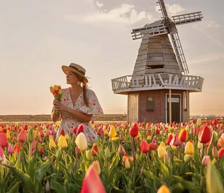 Amsterdam : Tulip Wonderland Tour - The Tulip Barn Garden Experience, Designed for Photos