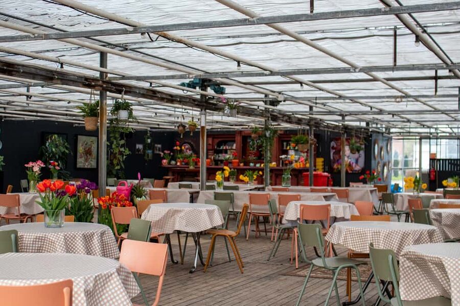 Amsterdam : Tulip Wonderland Tour - Who This Tulip Wonderland Tour Fits Best