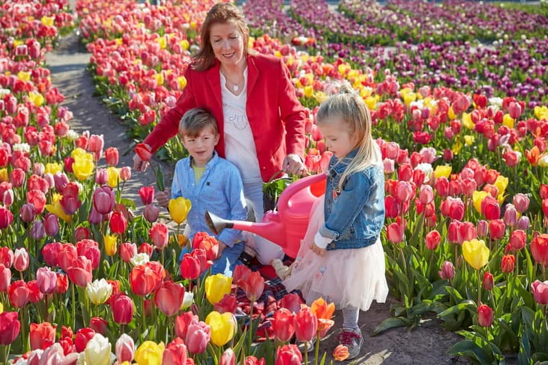 Amsterdam : Tulip Wonderland Tour - Getting There Fast: Market 27 and the M52 Metro Shortcut