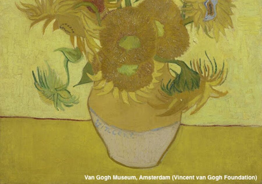Amsterdam: Van Gogh Museum Guided Tour with Entry - Finding your green-guide at Paulus Potterstraat 7