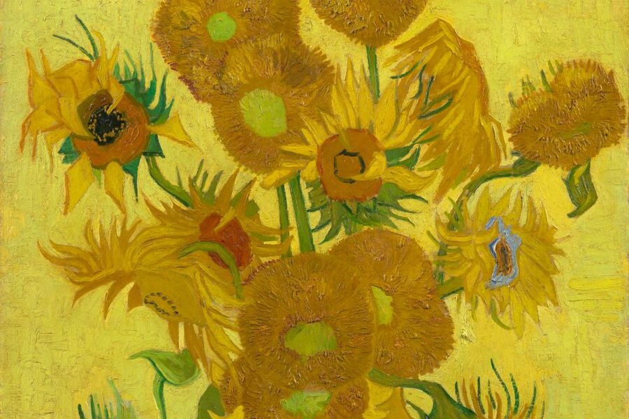 Amsterdam: Van Gogh Museum Ticket - Who This Ticket Is Best For