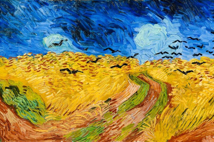 Amsterdam: Van Gogh Museum Ticket - What You’ll See: Paintings, Drawings, Letters, and the Bigger Picture