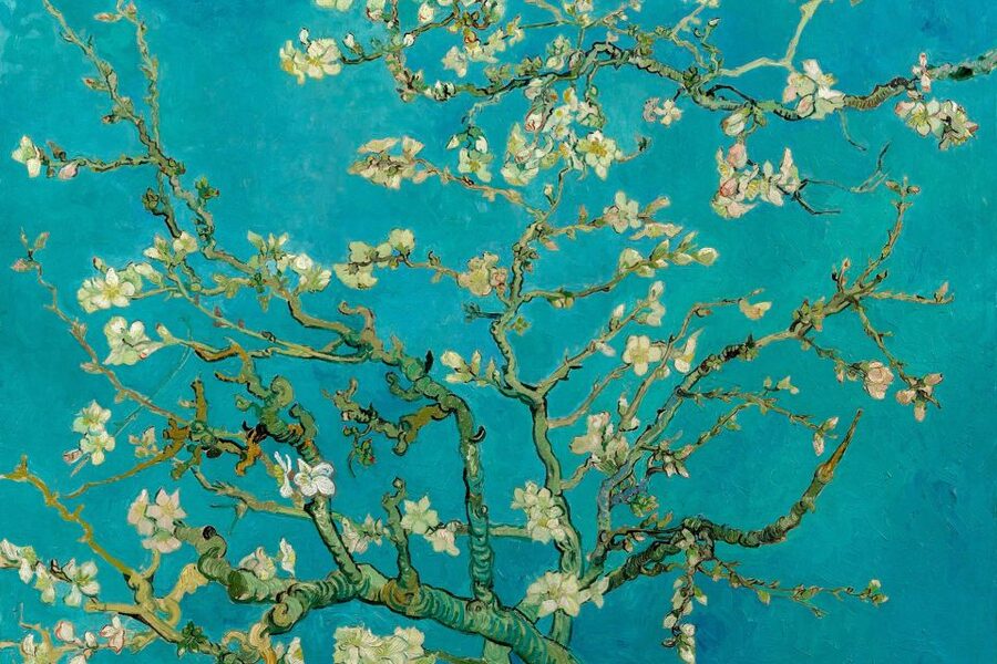 Amsterdam: Van Gogh Museum Ticket and City Canal Cruise - Value Check: Is $47 a Good Deal for Van Gogh and Canals?