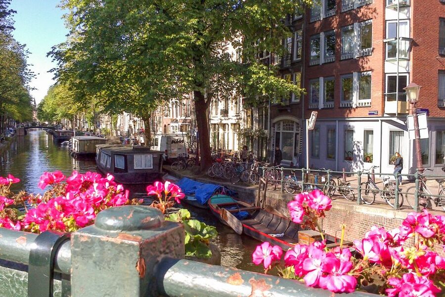 Amsterdam Walking Tour and Canal Cruise - First Stop: Where You Meet and How the Day Flows