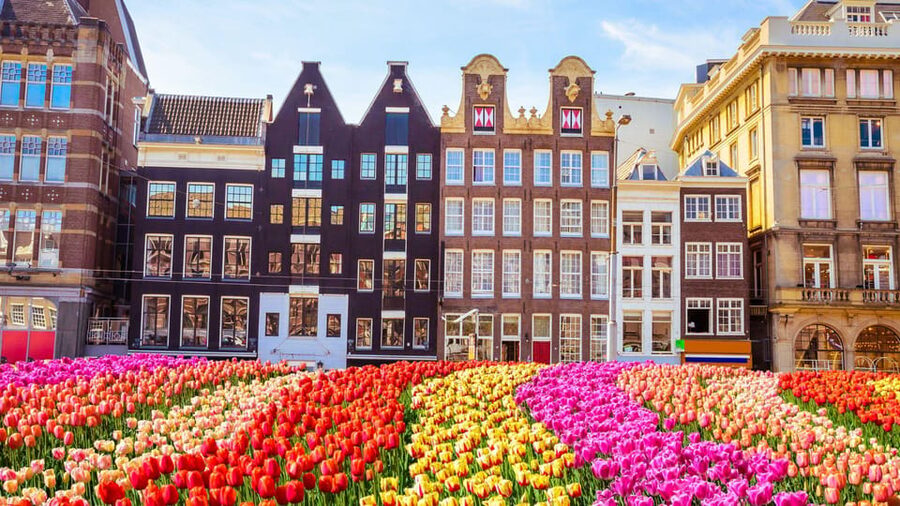 Amsterdam Walking Tour with a Local - Meeting your guide, and getting a route that fits you