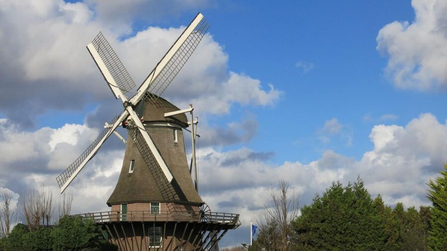 Amsterdam: Windmill Guided Tour - See the sails turning: the working mechanics behind keeping feet dry