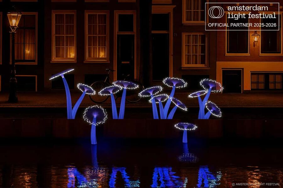 Amsterdam Winter Walking Tour - Winter Light Turns Amsterdam Into a Walkable Story