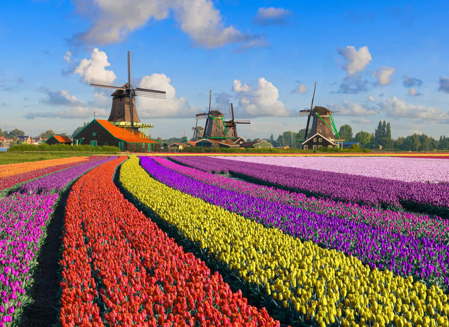 Amsterdam: Zaanse Schans, The Hague & Rotterdam Tour - The Hague and the Peace Palace: politics, royal landmarks, and art breaks