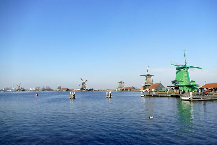 Amsterdam: Zaanse Schans, The Hague & Rotterdam Tour - Markthal food hall: where the day turns practical and delicious