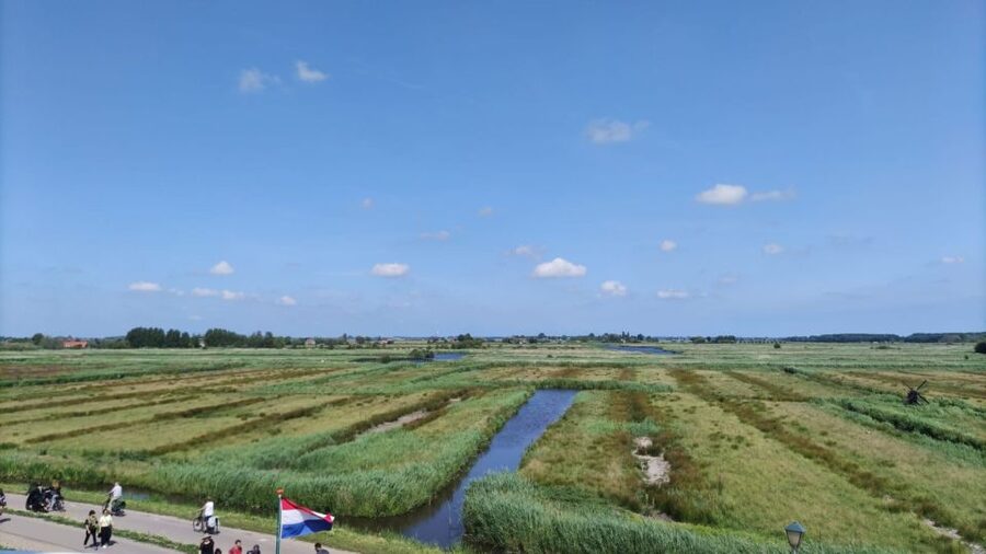 Amsterdam: Zaanse Schans Windmills Bike Tour with Guide - Price and value: is $59 worth it?