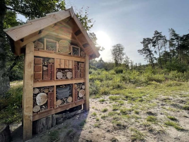 Arnhem: 8-hour culinary car tour of Veluwe - More waterfalls and Veluwezoom walking time