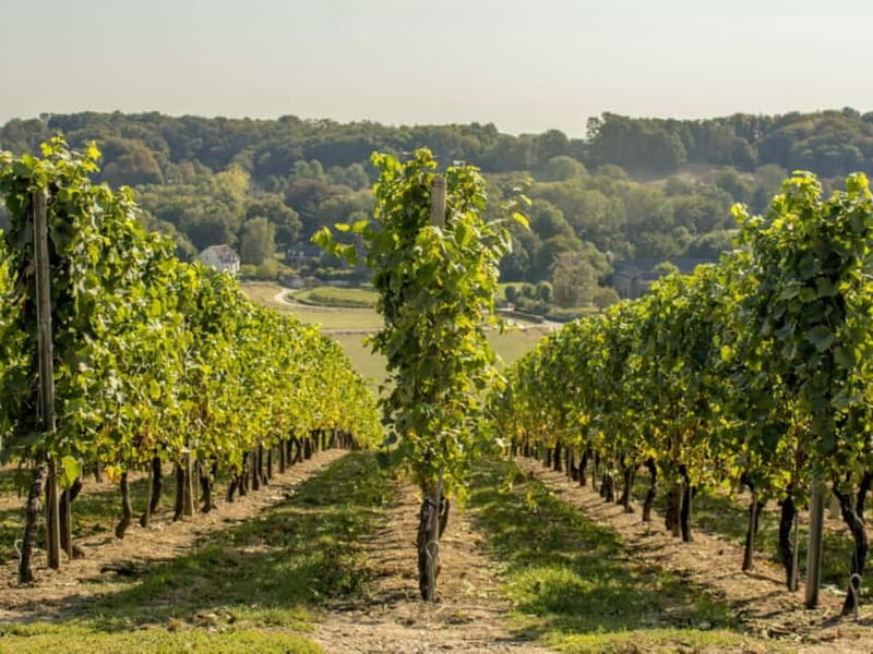 Arnhem: 8-hour culinary car tour of Veluwe - Price and logistics: where the experience can feel worth it or not