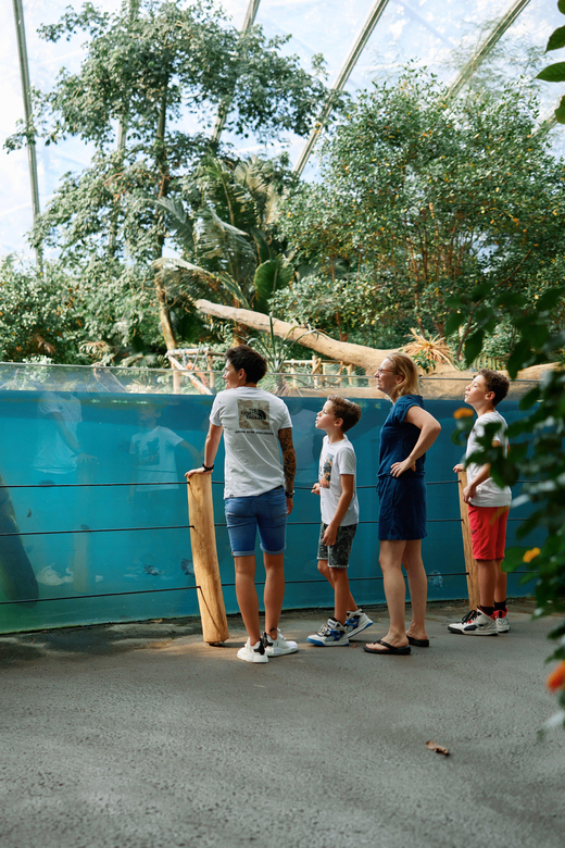 Arnhem: Burgers' Zoo Entry Ticket - Key Things You Should Know Before You Go