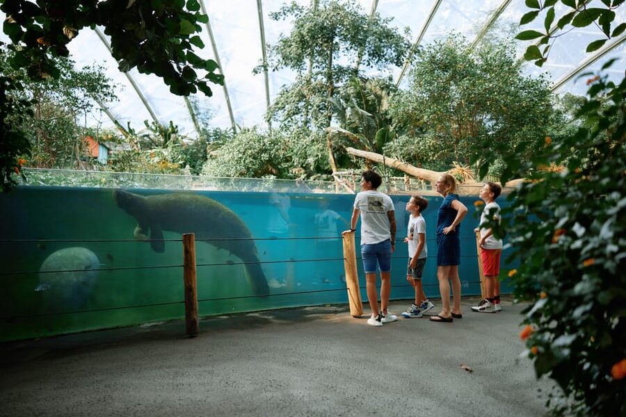 Arnhem: Burgers' Zoo Entry Ticket - Price and What Else You Need to Plan For
