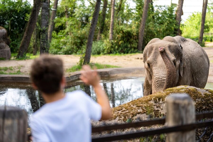 Arnhem: Burgers' Zoo Entry Ticket - The Bush Jungle: Humidity, Sound, and That Real Jungle Feel
