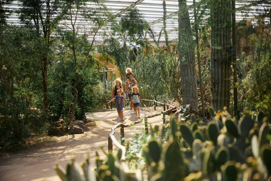 Arnhem: Burgers' Zoo Entry Ticket - The Belize-Inspired Indoor Mangrove: Humidity, Butterflies, and Manatees