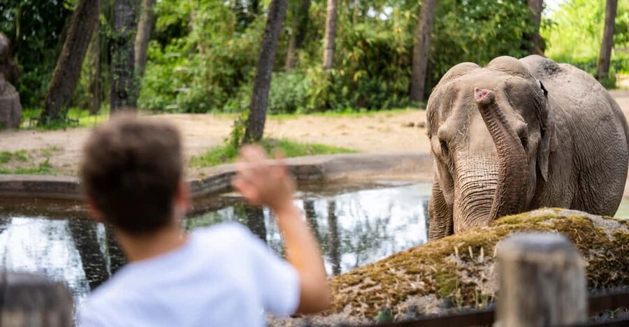 Arnhem: Burgers' Zoo Entry Ticket - Your 8 Hours Across Five Big Eco-Displays