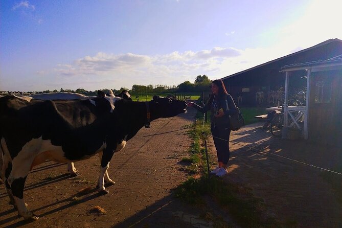 Best of Dutch Countryside: Giethoorn, Windmills, Secret Villages - Food Included: Waffles, Cheese, and Chocolate Without the Lunch Stress