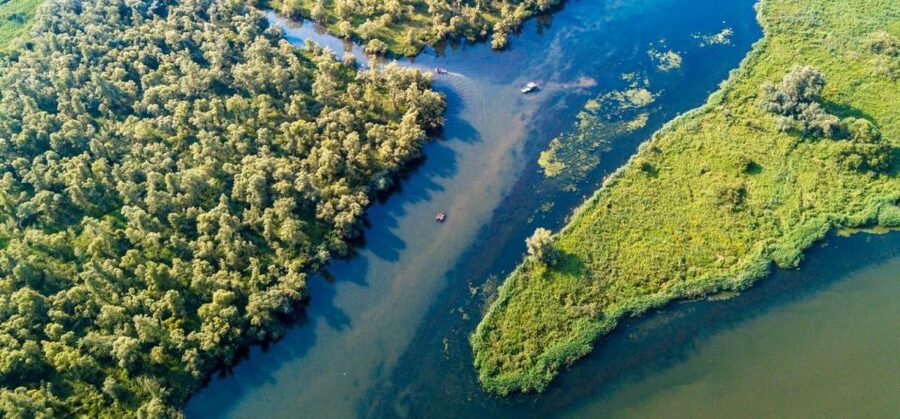 Biesbosch: Boat Cruise through National Park - Quick hits before you go