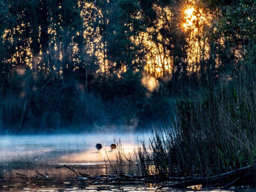 Biesbosch: Boat Cruise through National Park - Price and value: is $21 for a national park cruise a good deal?