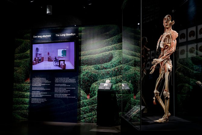 Body Worlds Amsterdam Admission Ticket - Ticket value: what you pay and what you actually get