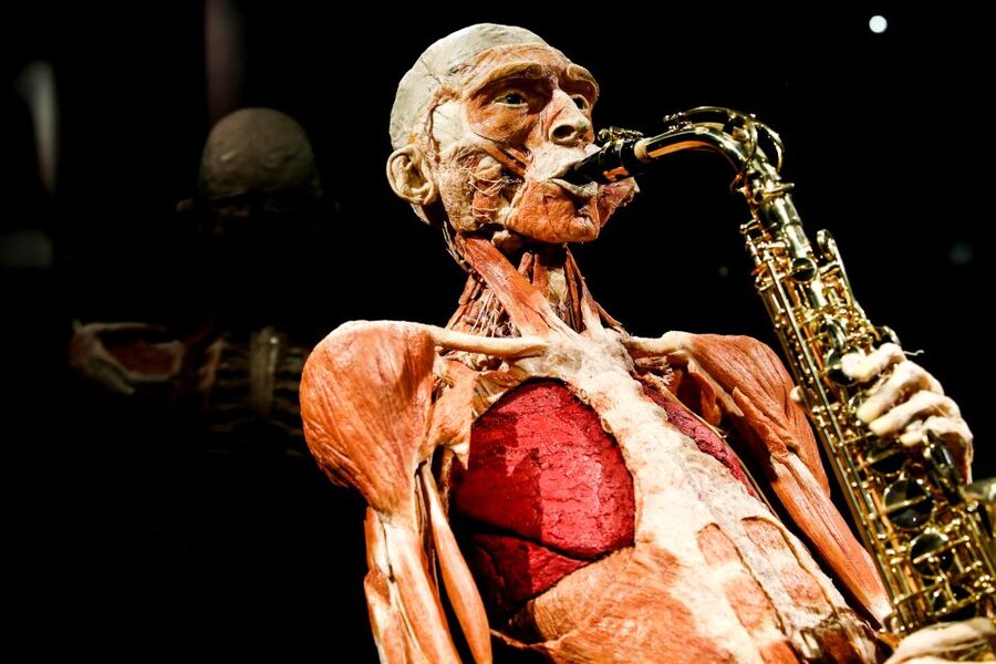 Body Worlds Amsterdam: The Happiness Project Ticket - Body Worlds Amsterdam Happiness Project in plain words
