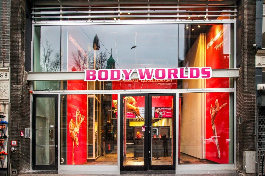 Body Worlds Amsterdam: The Happiness Project Ticket - The six-floor route and how to pace it