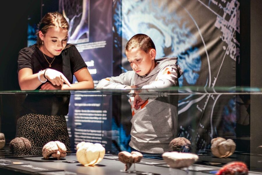 Body Worlds Amsterdam: The Happiness Project Ticket - Interactive exhibits and small health-tech moments