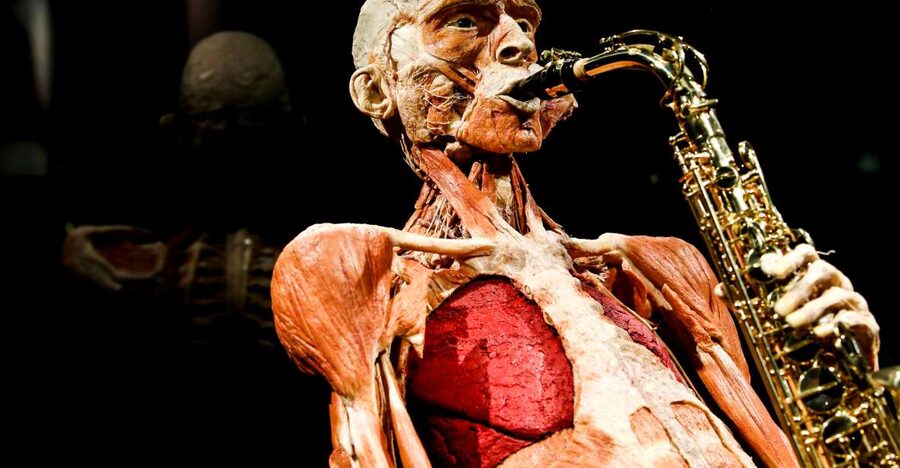 Body Worlds Amsterdam: The Happiness Project Ticket - Damrak 66 entry and timed access, no guesswork required