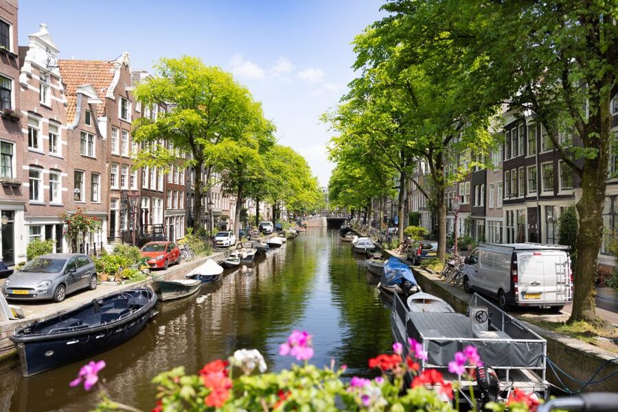 Boutique Dutch Food & History Tour with up to 8 guests only - Price and value: what $147 buys you in real terms