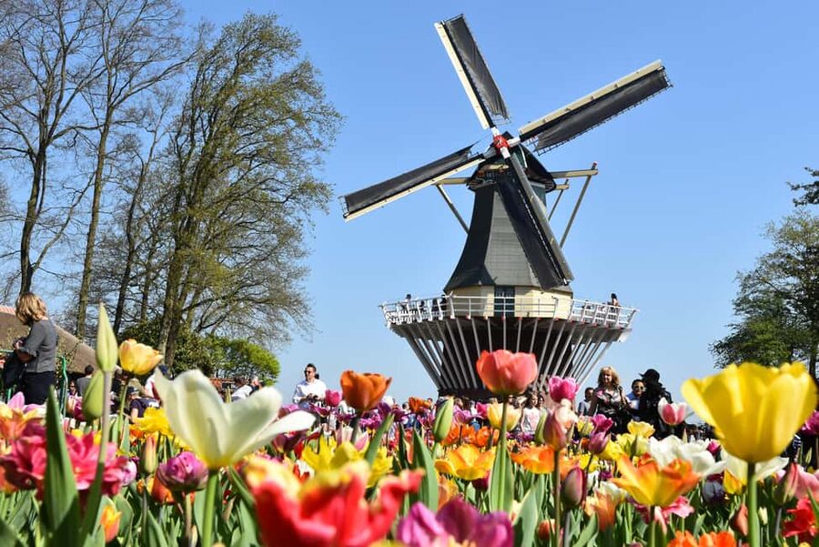 Brussels: Holland Keukenhof & Kinderdijk Guided Day Tour - Coach comfort and what to pack for a 12-hour day