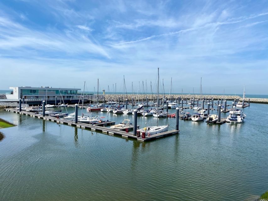 Cadzand: Seal Discovery Boat Tour with Glass of Champagne - Key highlights you will feel right away