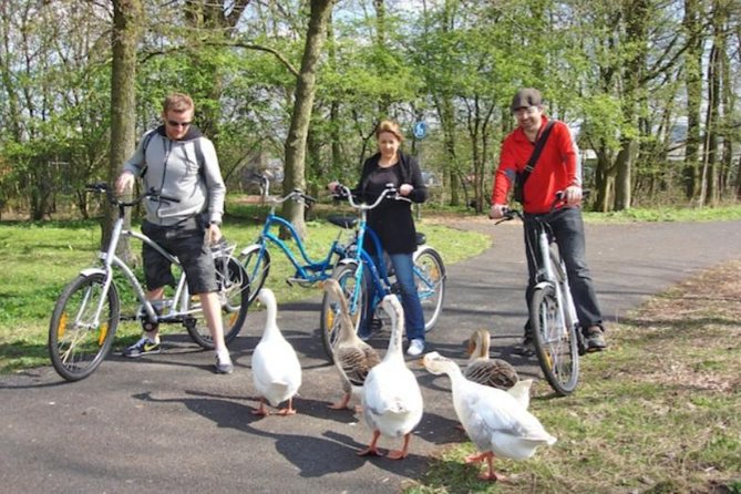 Cheese, Canals & Windmill Countryside E-Bike Tour Amsterdam - Cheese tasting and the snack that turns the day into a real Dutch outing