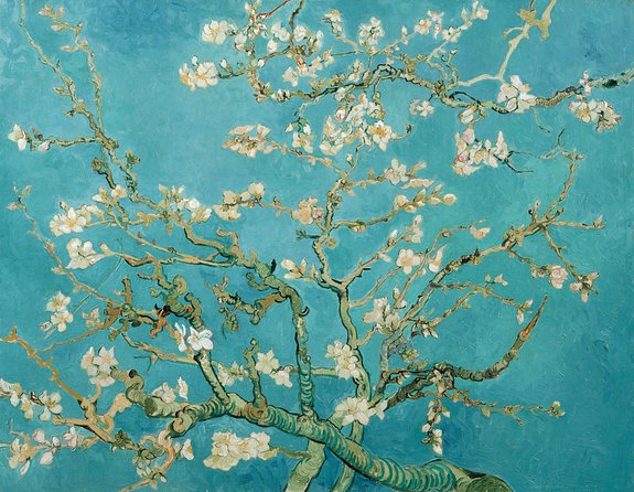 Combo Ticket: Van Gogh Museum Ticket and 1-Hour Canal Cruise - Two Tickets, One Smart Plan for a Short Amsterdam Day