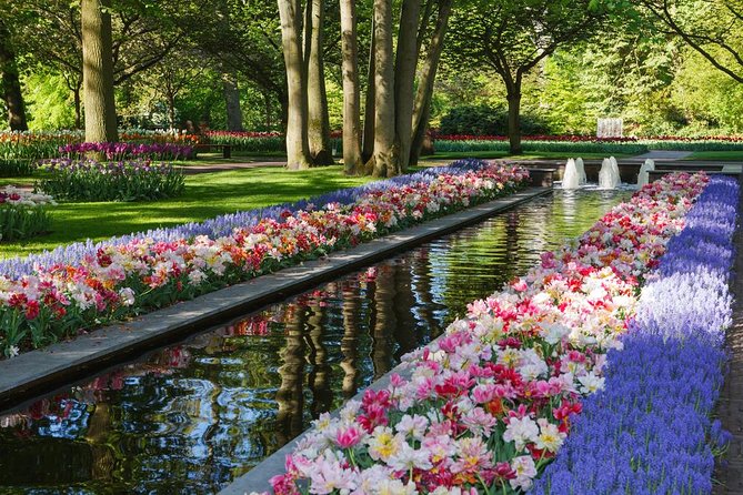Day Trip to Keukenhof Gardens from Amsterdam with Tour Guide - Keukenhof from Amsterdam, what this guided setup really changes